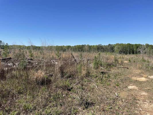 EASEMENT OFF OF GARTMAN RD, TYLERTOWN, MS 39667, photo 4 of 14