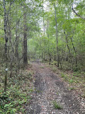 107.3 ACRE REDMOND RD., LUMBERTON, MS 39455, photo 4 of 23