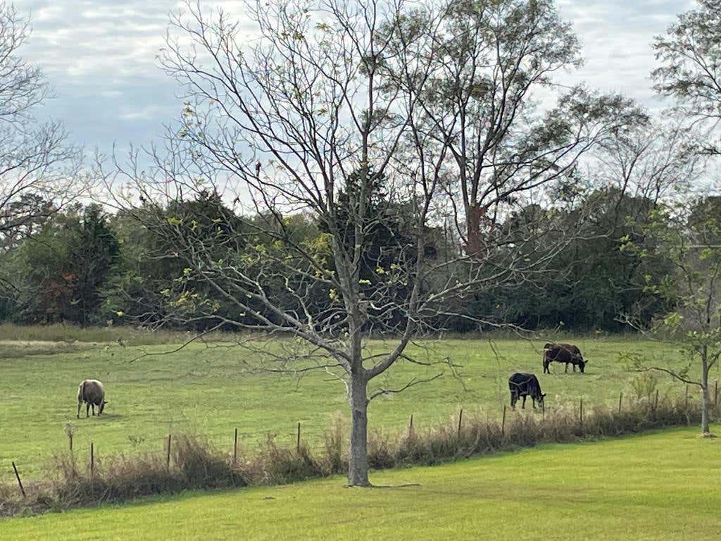 0 DICK SUMRALL RD., LAUREL, MS 39443, photo 1 of 3