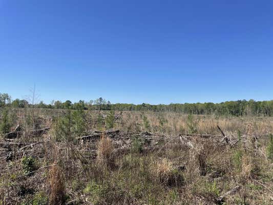 EASEMENT OFF OF GARTMAN RD, TYLERTOWN, MS 39667, photo 3 of 14