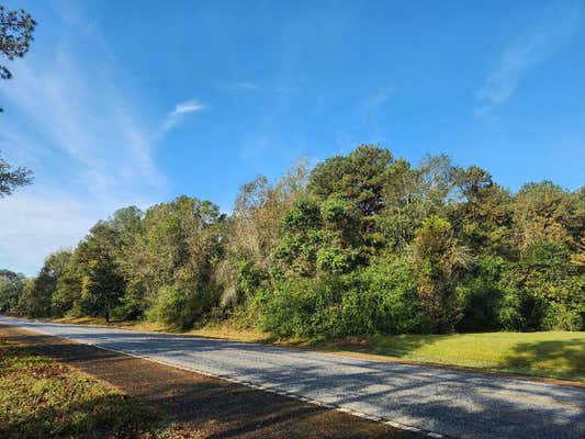 LOT 000 S HIGHWAY 27, TYLERTOWN, MS 39667 - Image 1