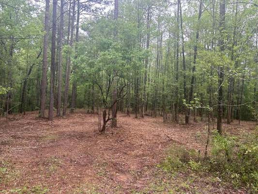 1 A PITTMAN RD, SANDY HOOK, MS 39478 - Image 1