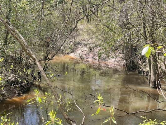 227 STANFORD LAKE RD, POPLARVILLE, MS 39470, photo 3 of 12