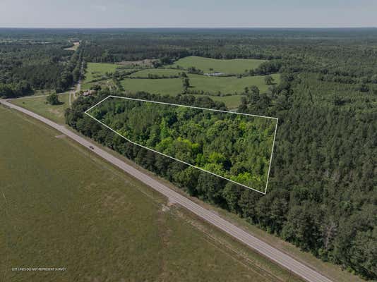 11 ACRES HWY 42, BASSFIELD, MS 39421 - Image 1