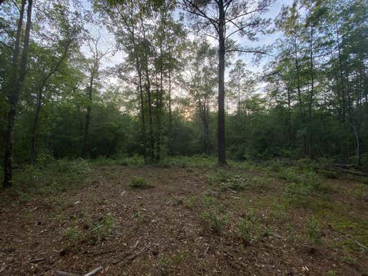 107.3 ACRE REDMOND RD., LUMBERTON, MS 39455, photo 2 of 23