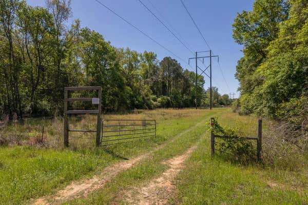 PARCEL 2 BOUIE RIVER 4.15 ACRES HWY 84, COLLINS, MS 39428, photo 4 of 27