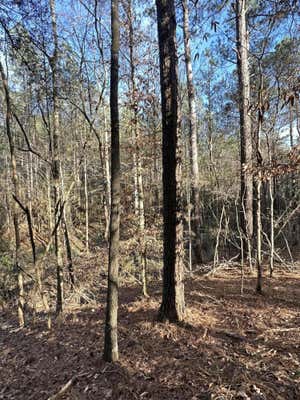 0 GRAVEL ROAD, OAK VALE, MS 39656 - Image 1