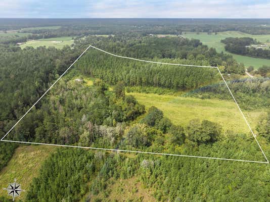 27+/-ACRES OLD RIFLE RANGE RD., PETAL, MS 39465 - Image 1