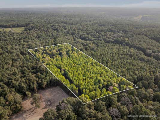 8 +/- ACRES CROSBY RD., SEMINARY, MS 39479 - Image 1