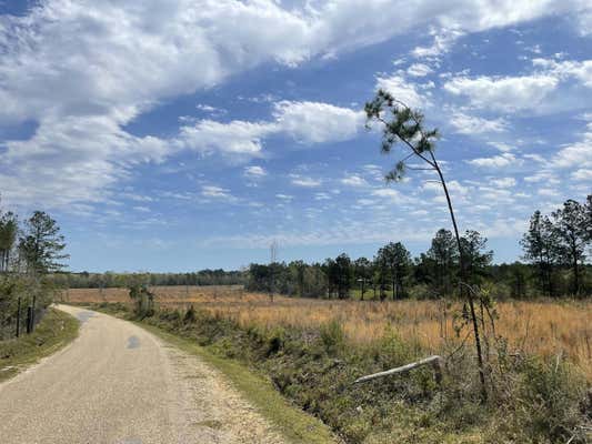 299 BAXTER RD, LUMBERTON, MS 39455, photo 2 of 4