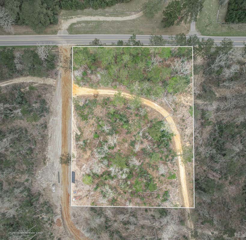 LOT 9 BRIDGEWATER SUBDIVISION, SUMRALL, MS 39482, photo 1 of 5