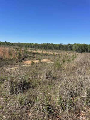 EASEMENT OFF OF GARTMAN RD, TYLERTOWN, MS 39667, photo 5 of 14