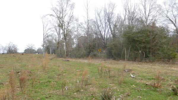 17.27 AC N WILLIAMSBURG RD., BASSFIELD, MS 39421 - Image 1