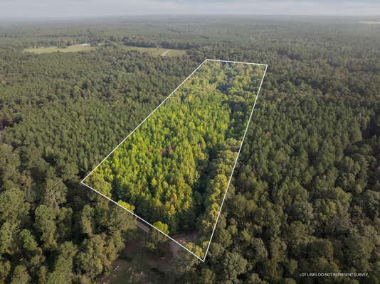 13.6 +/- ACRES CROSBY RD., SEMINARY, MS 39479 - Image 1