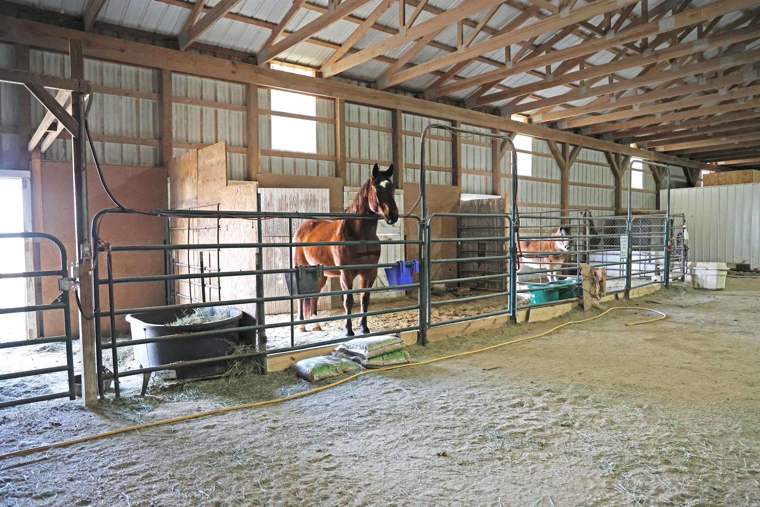 Hays, Kansas, 67601, United States, 5 Bedrooms Bedrooms, ,5 BathroomsBathrooms,Residential,Active,1964298