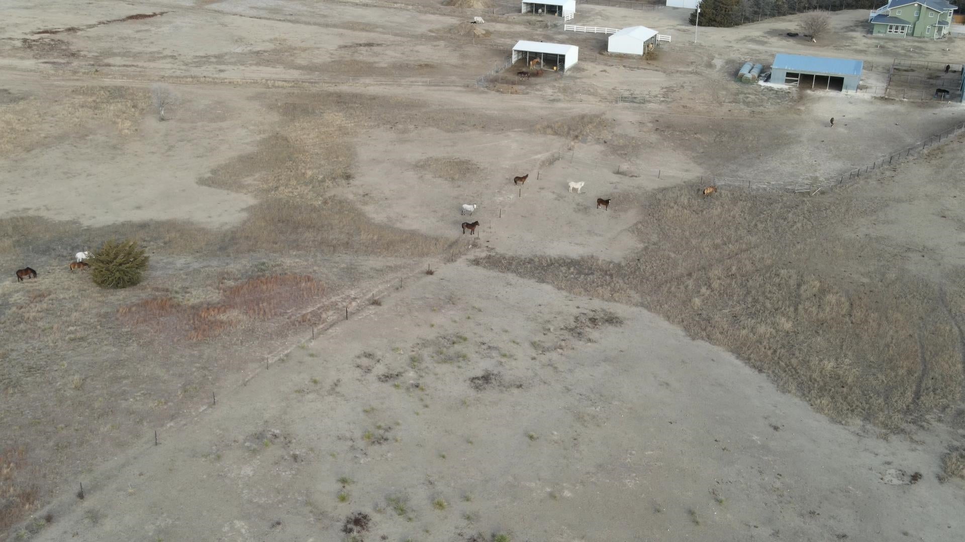 Hays, Kansas, 67601, United States, 5 Bedrooms Bedrooms, ,5 BathroomsBathrooms,Residential,Active,1964298