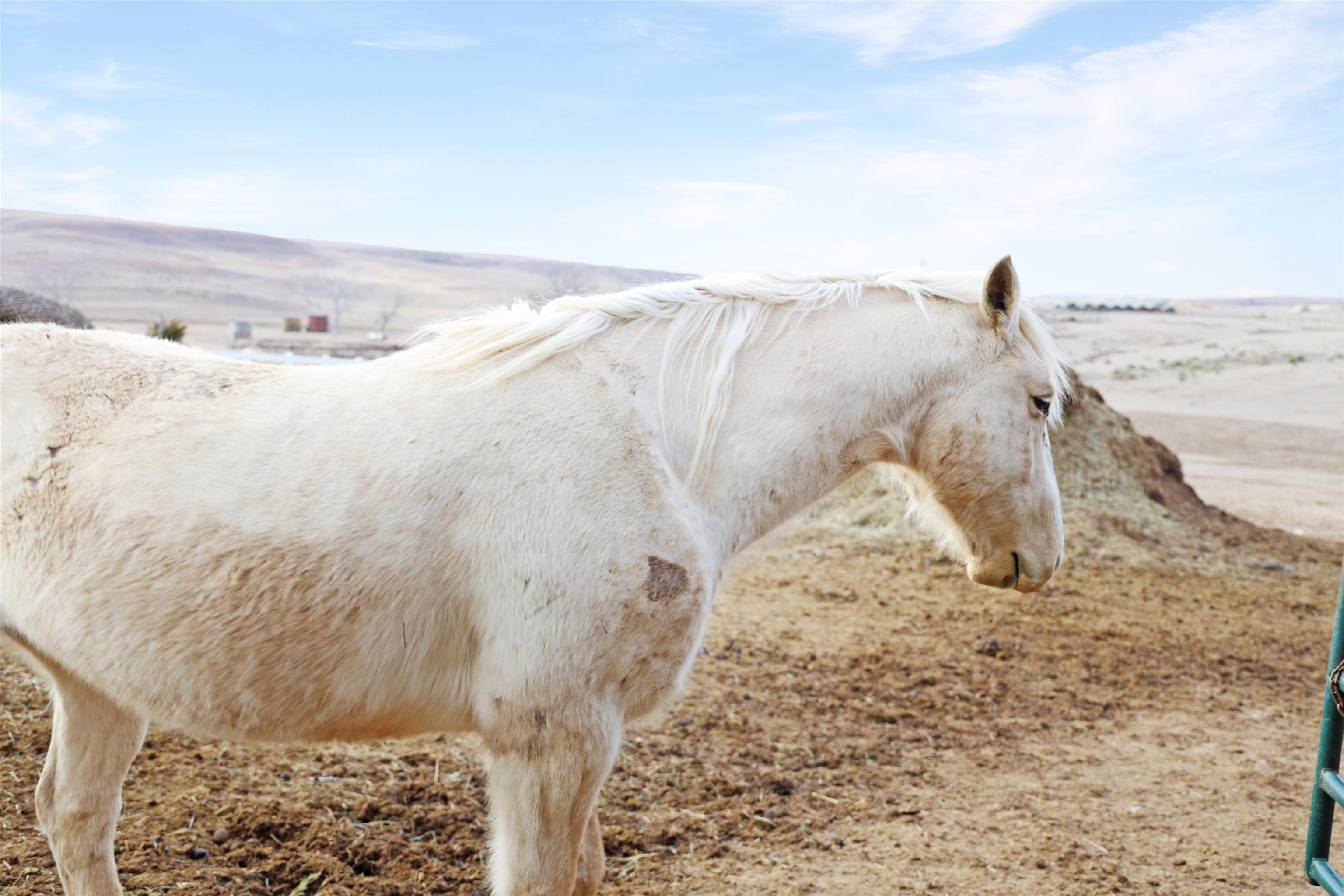 Hays, Kansas, 67601, United States, 5 Bedrooms Bedrooms, ,5 BathroomsBathrooms,Residential,Active,1964298