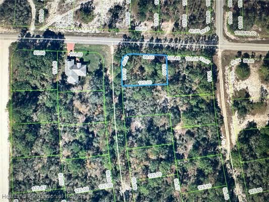 351 JACK WEISSER BLVD, LAKE PLACID, FL 33852 - Image 1