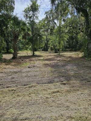 152 TALL OAKS TRL, ZOLFO SPRINGS, FL 33890 - Image 1