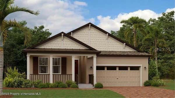 10071 BANYAN BREEZE BLVD, LAND O LAKES, FL 34638 - Image 1