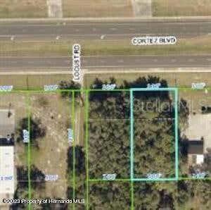 17076 CORTEZ BLVD, BROOKSVILLE, FL 34601, photo 1