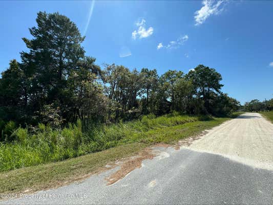 11093 JENNY WREN RD, WEEKI WACHEE, FL 34614 - Image 1