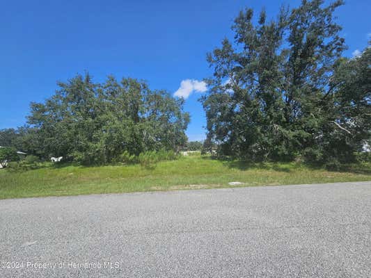 9925 REINDEER CT, SPRING HILL, FL 34608 - Image 1