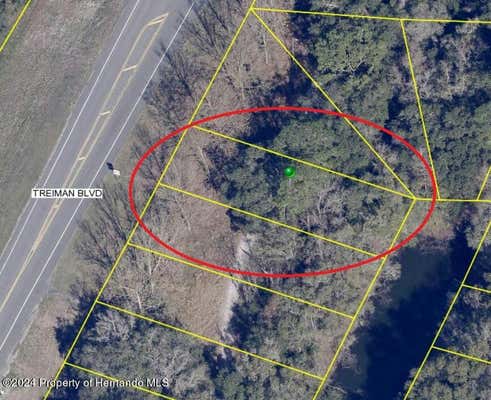 0 TREIMAN BOULEVARD # LOTS 2-6, BROOKSVILLE, FL 34602 - Image 1