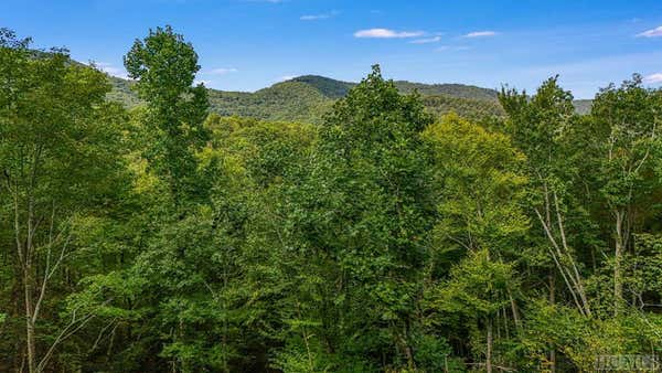 LOT D52 SPRINGWATER ROAD, GLENVILLE, NC 28736 - Image 1