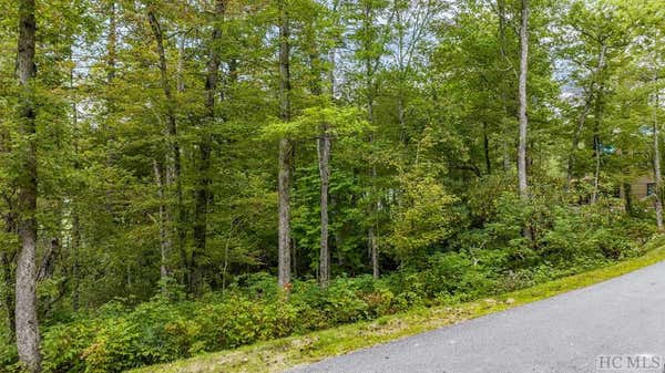 32 FOOTBRIDGE DRIVE, CASHIERS, NC 28717 - Image 1