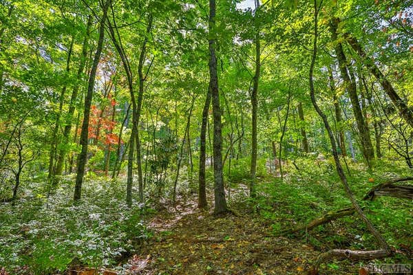 56 RAMBLE RIDGE ROAD, CASHIERS, NC 28717, photo 4 of 15