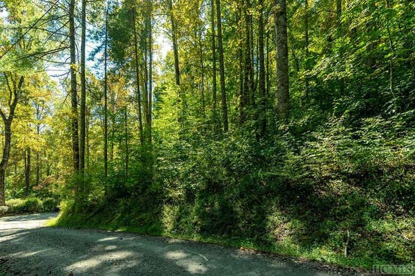 16&17 CULLOWHEE FOREST ROAD, CULLOWHEE, NC 28723, photo 3 of 20