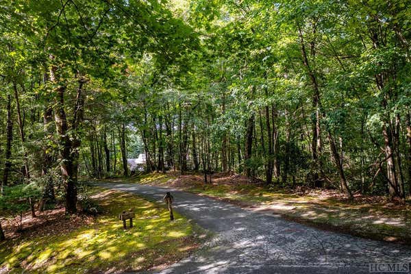 LOT R46 CANOPY LANE, CASHIERS, NC 28717 - Image 1