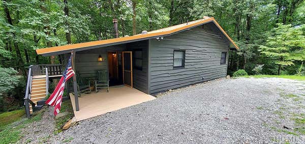 116 SHOAL CREEK RD, SCALY MOUNTAIN, NC 28775 - Image 1