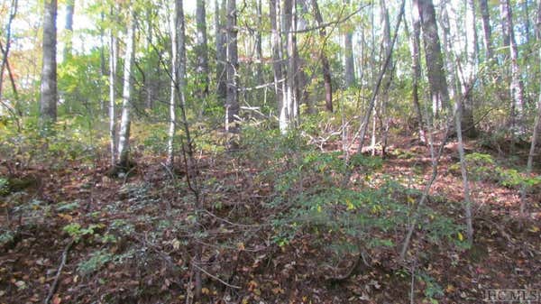 LOT #113 WEST CHRISTY TRAIL, SAPPHIRE, NC 28774 - Image 1