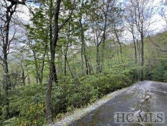 LOT 11C SUMMIT FALLS ROAD, SAPPHIRE, NC 28774 - Image 1