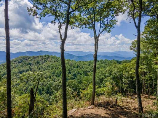 00 S LITTLE HOG BACK MOUNTAIN LANE, HIGHLANDS, NC 28741, photo 2 of 39