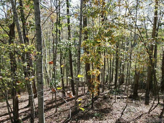 LOT #4 RENDEZVOUS RIDGE ROAD, CASHIERS, NC 27265 - Image 1