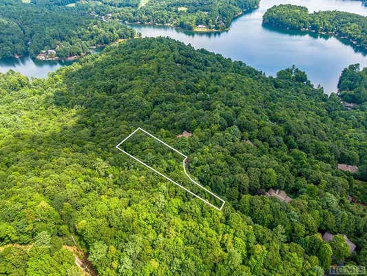 LS 24 LAKESIDE TRAIL, LAKE TOXAWAY, NC 28747, photo 2 of 13