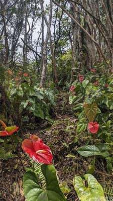 13-3992 PAHOA KALAPANA RD, PAHOA, HI 96778, photo 2 of 23