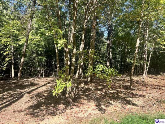 472 HEDGE IRON DR, MAMMOTH CAVE, KY 42259 - Image 1