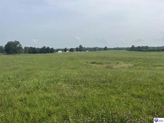 000 WELDON LOOP, UPTON, KY 42784 - Image 1