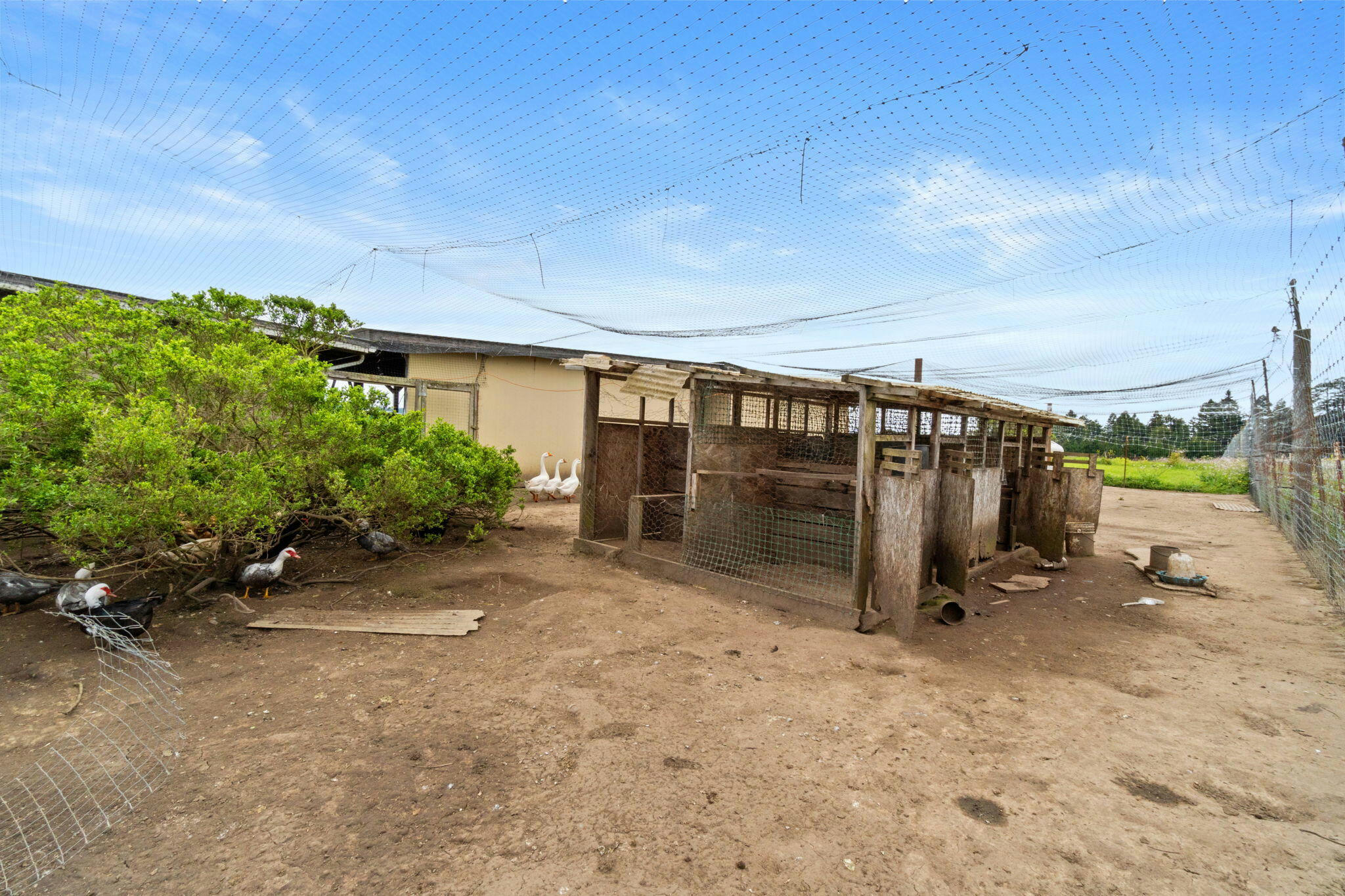 Hydesville, California, 95547, United States, ,2 BathroomsBathrooms,Residential,Active,1769846