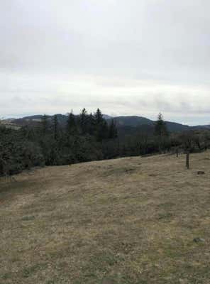 000 BUCK MOUNTAIN, DINSMORE, CA 95526 - Image 1