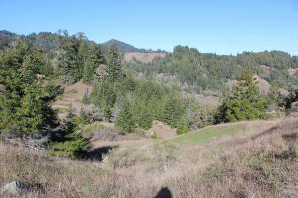 725 725 K ROAD, REDWAY, CA 95560 - Image 1