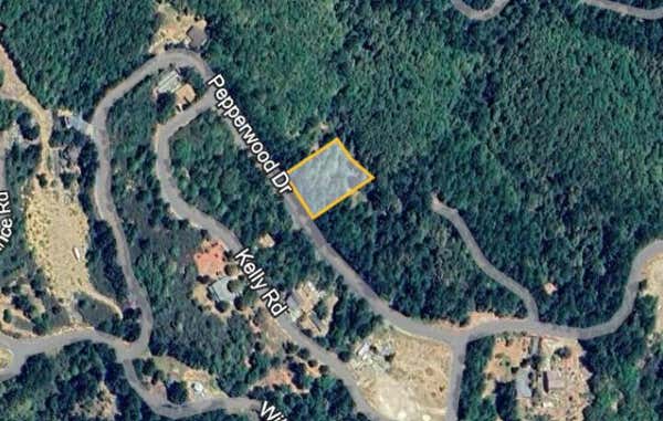 271 PEPPERWOOD DR, WHITETHORN, CA 95589 - Image 1