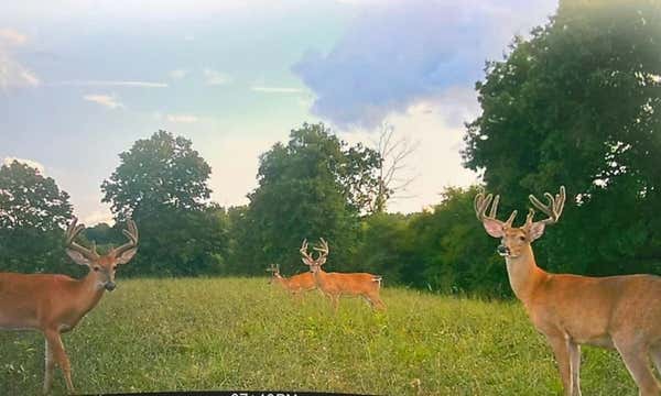 10729 LINCOLN PIKE, SCOTTOWN, OH 45678, photo 2 of 32