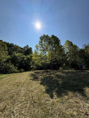 0 ROUTE 3 MAHONE CREEK ROAD, HAMLIN, WV 25571 - Image 1