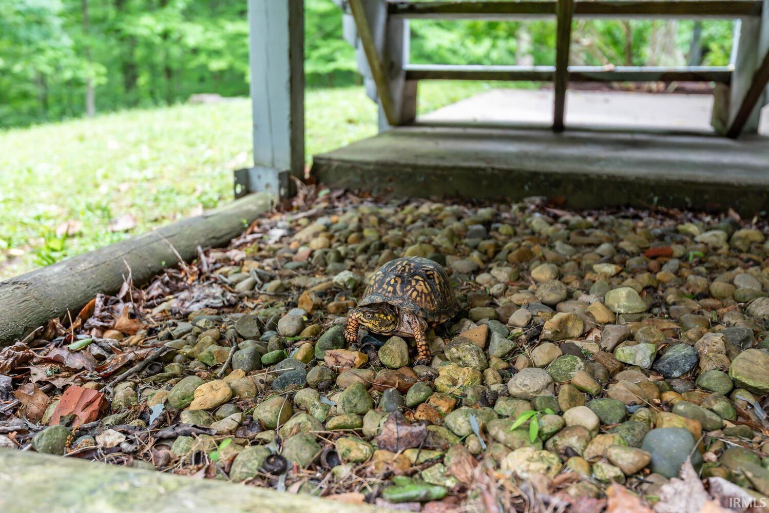 Bloomington, Indiana, 47401, United States, 5 Bedrooms Bedrooms, ,6 BathroomsBathrooms,Residential,Active,1821943