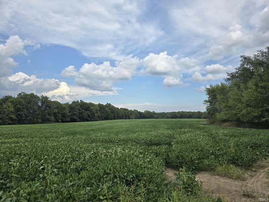 0000 STATE ROAD 1 ROAD, BUTLER, IN 46721 - Image 1